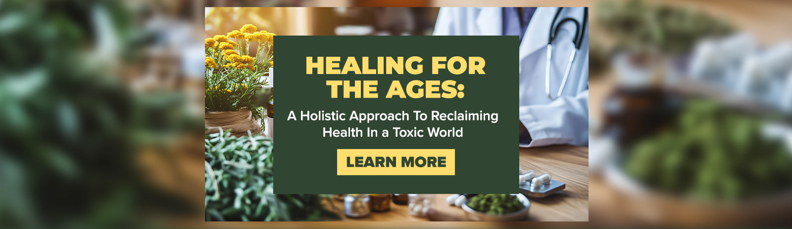A Holistic Approach To Reclaiming Health In a Toxic World