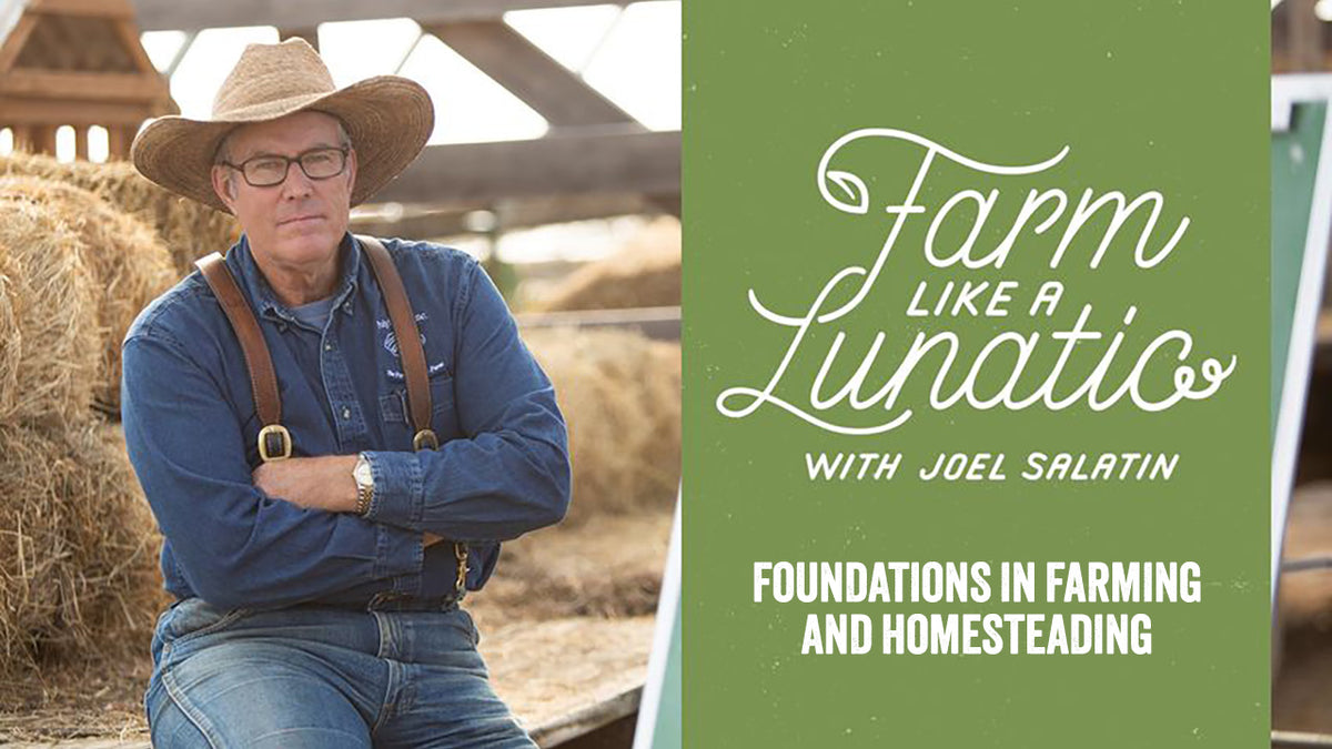 Foundations in Farming and Homesteading