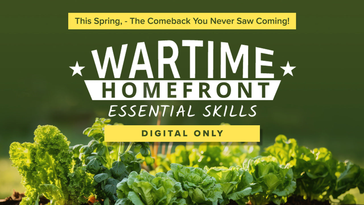 Wartime Homefront Essential Skills - Digital Only