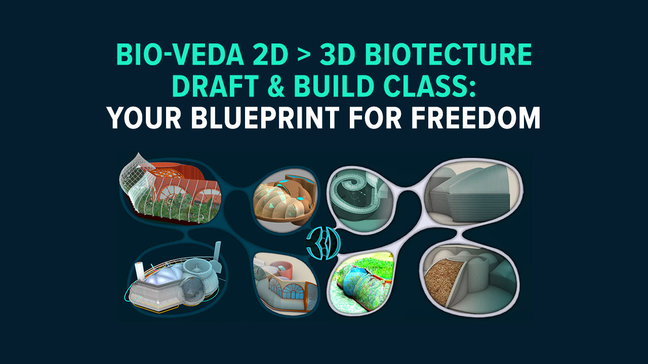 Bio-Veda 2D > 3D BioTecture Draft & Build Class