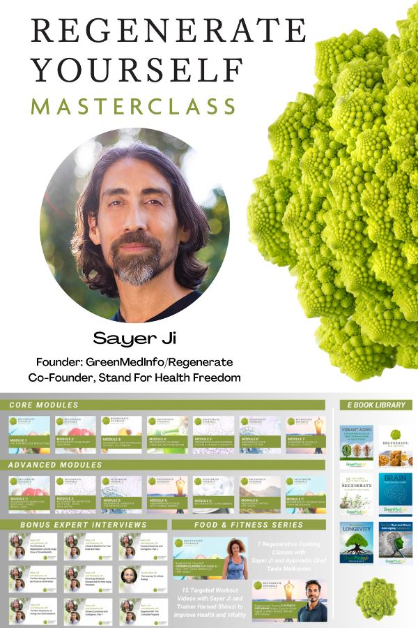 Regenerate Yourself Masterclass (Digital File)