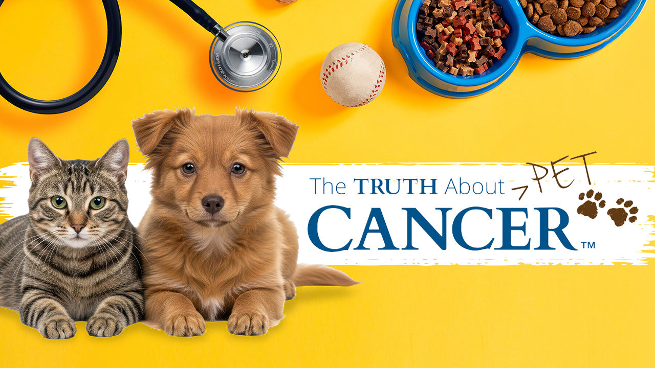 The Truth About Pet Cancer - Premium Package (Physical + Digital)