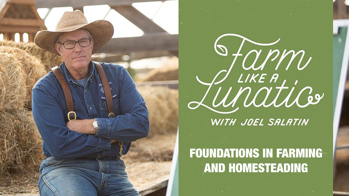 Foundations in Farming and Homesteading