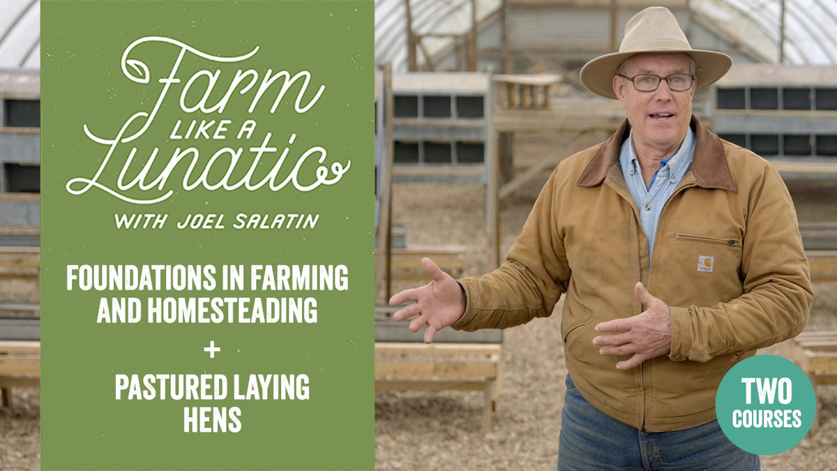 Foundations - Farming and Homesteading + Pastured Laying Hens