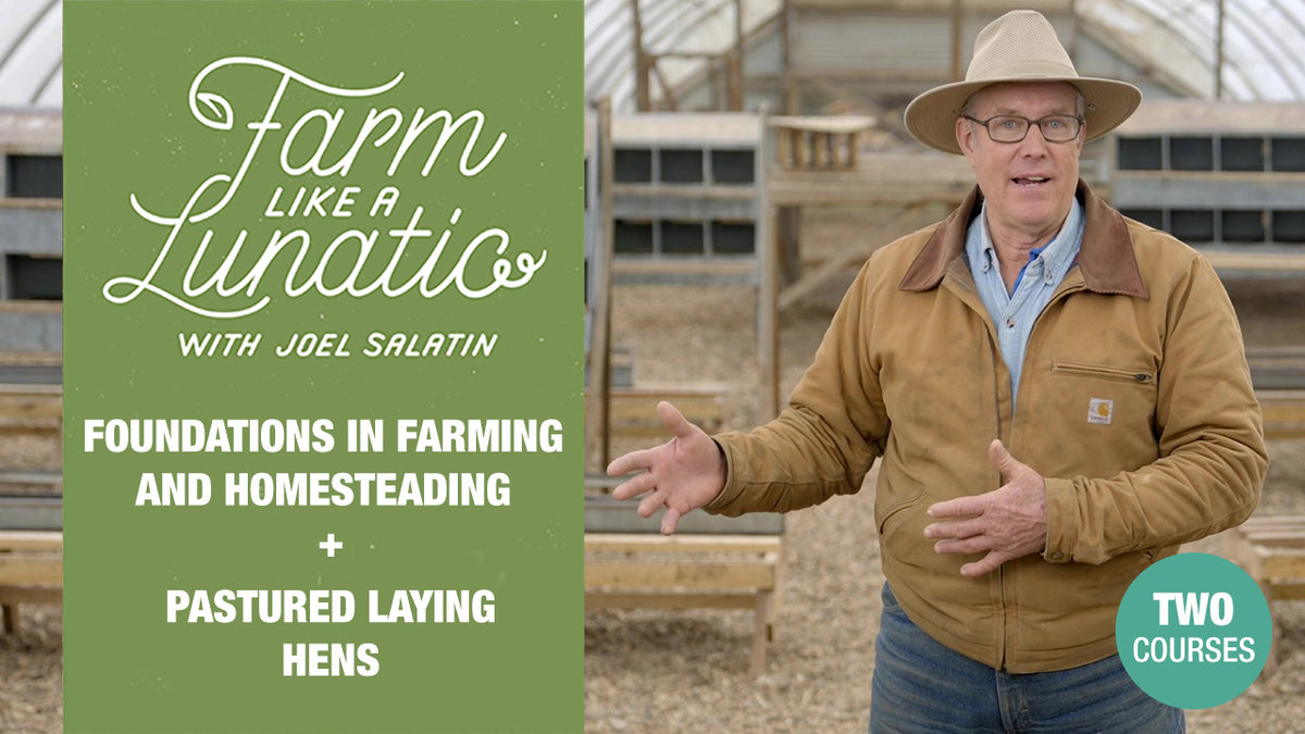Foundations - Farming and Homesteading + Pastured Laying Hens