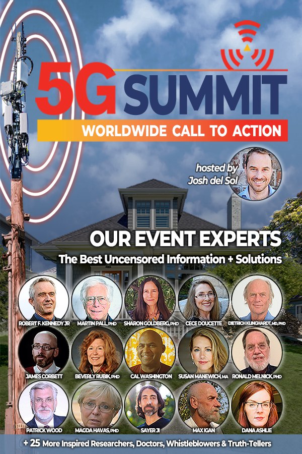 The 5G Summit (Digital File)
